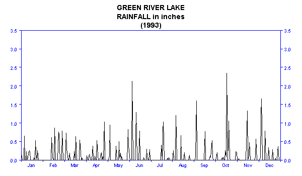 1993 Rainfall